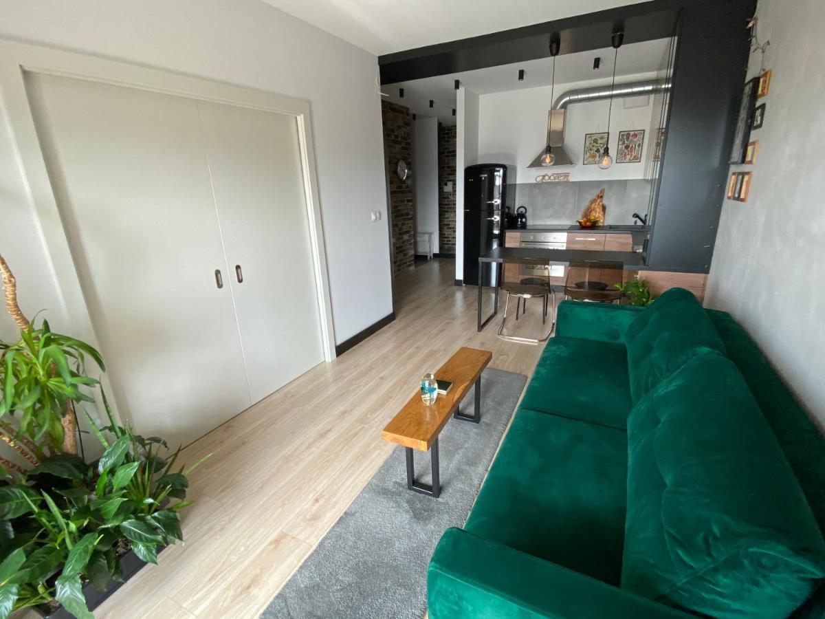 크라쿠프 Apartament Delux Przy Wisle 아파트 외부 사진