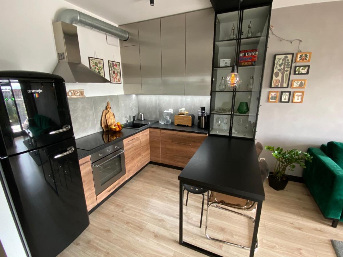 크라쿠프 Apartament Delux Przy Wisle 아파트 외부 사진