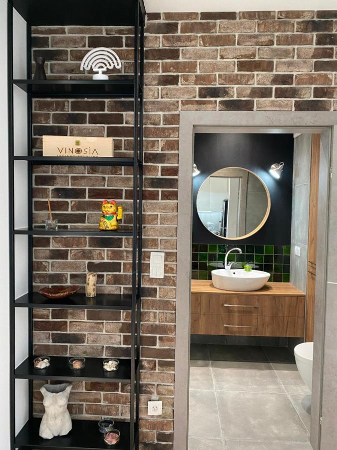 크라쿠프 Apartament Delux Przy Wisle 아파트 외부 사진